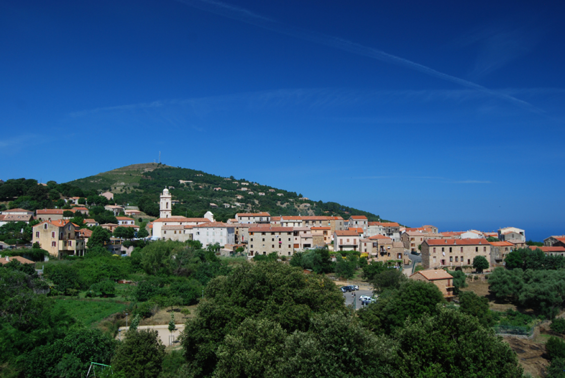 @Julia Nowicka-Piana-fotolia