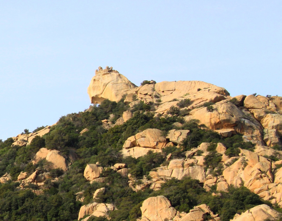 lion de roccapina 