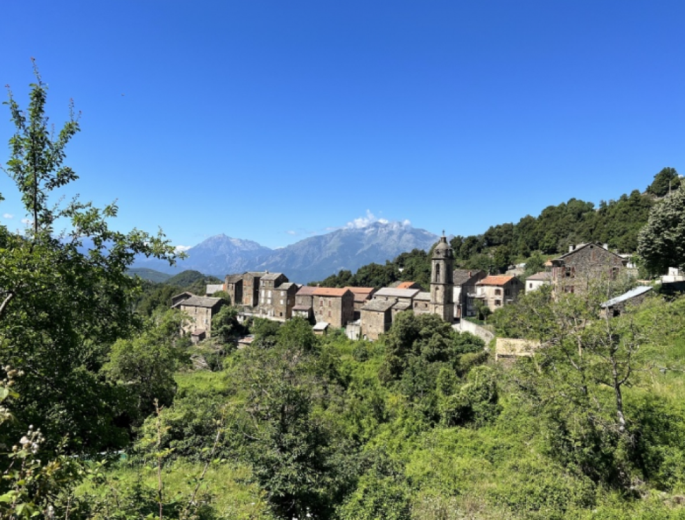 Bustanicu