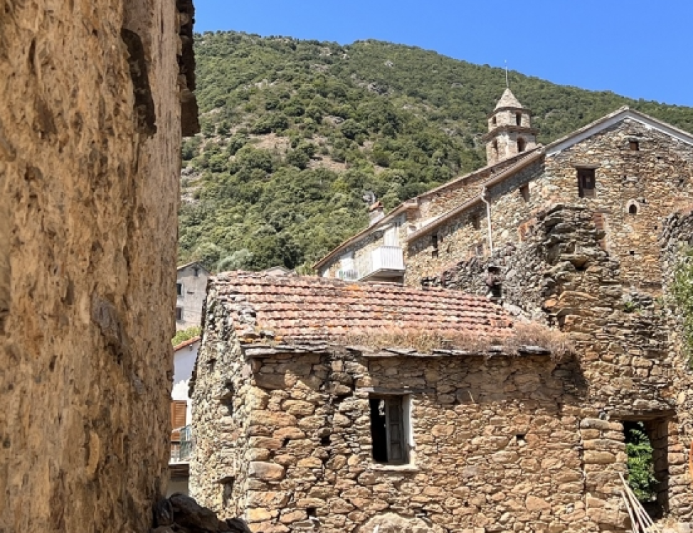 ruellesczstellare