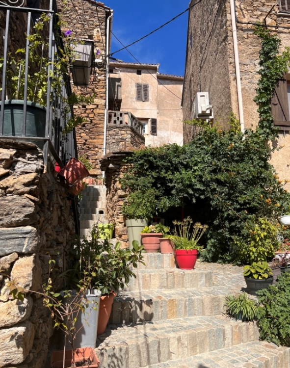 ruellestralonca