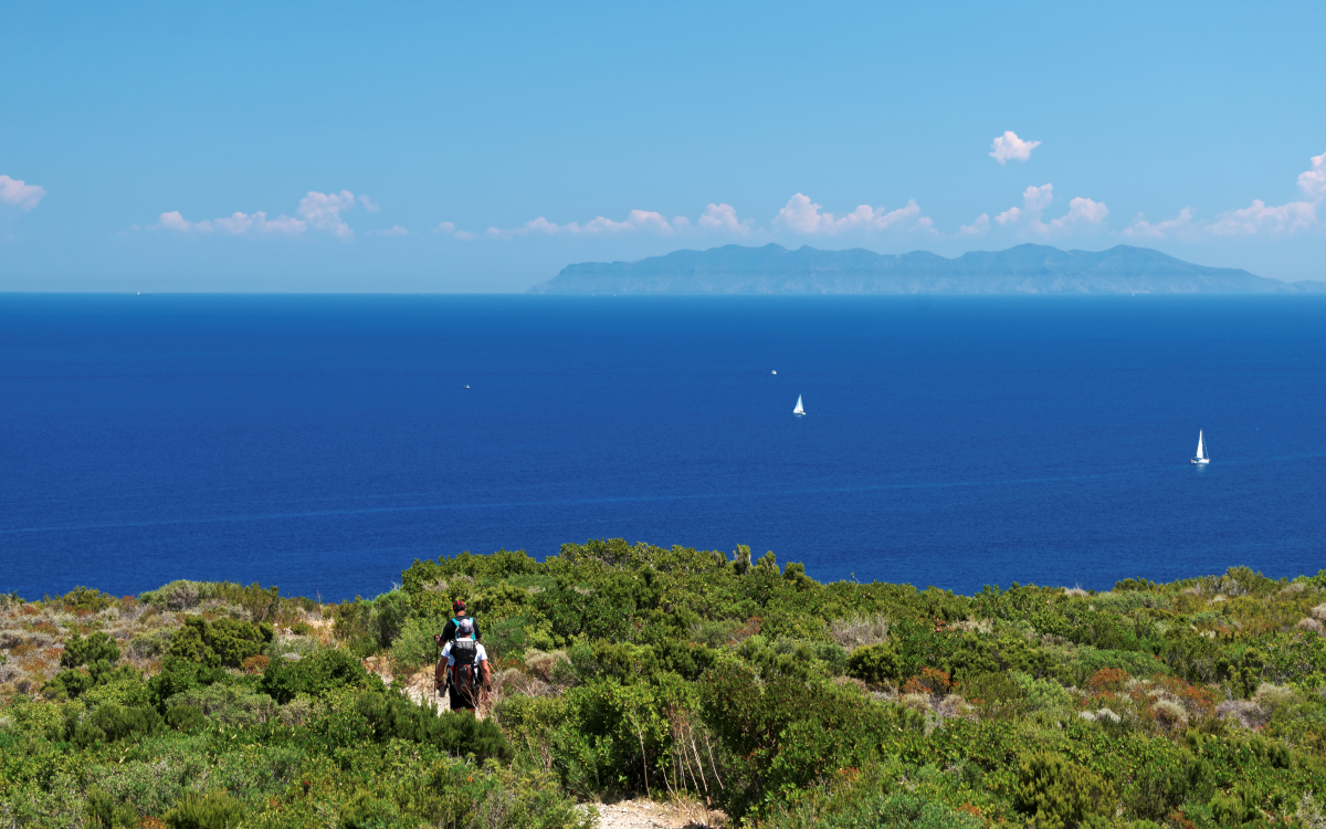 Fotolia_-hassan-bensliman_sentier-doiniers_cap-corse