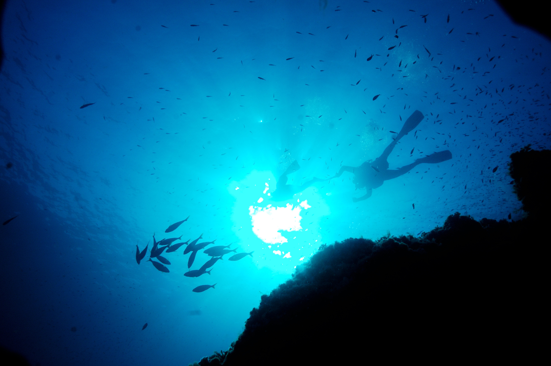 -Michel-Gatti-fonds-marins-fotolia.com
