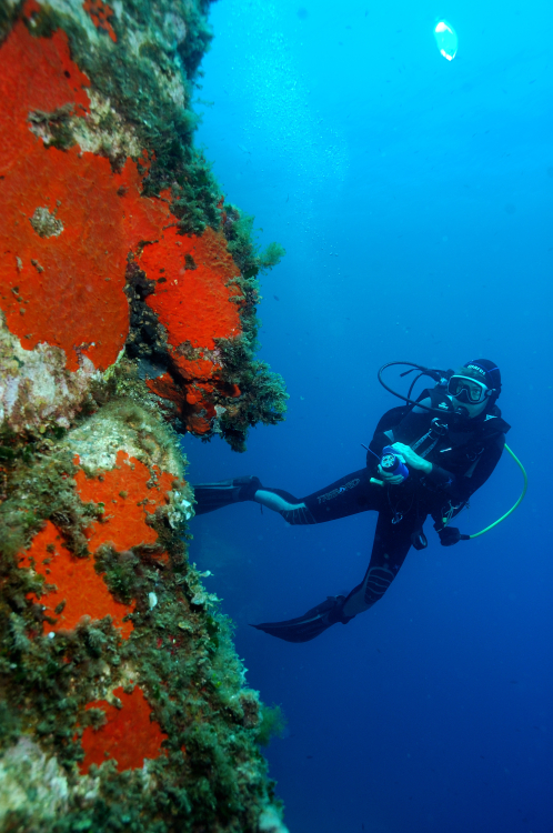 -Michel-Gatti-fonds-marins2-fotolia.com