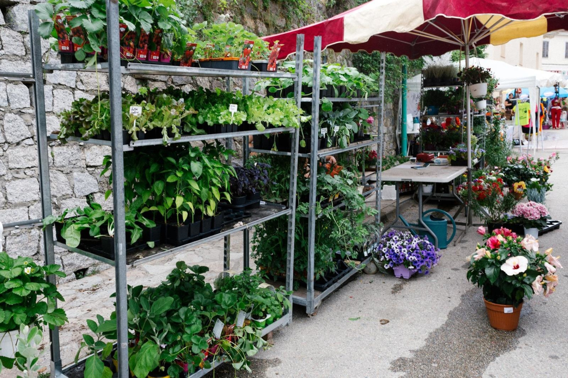 festa-di-a-natura-vico-ouest-corse