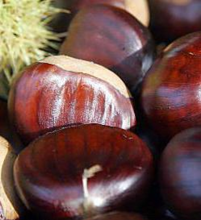 Foire du marron d'Evisa