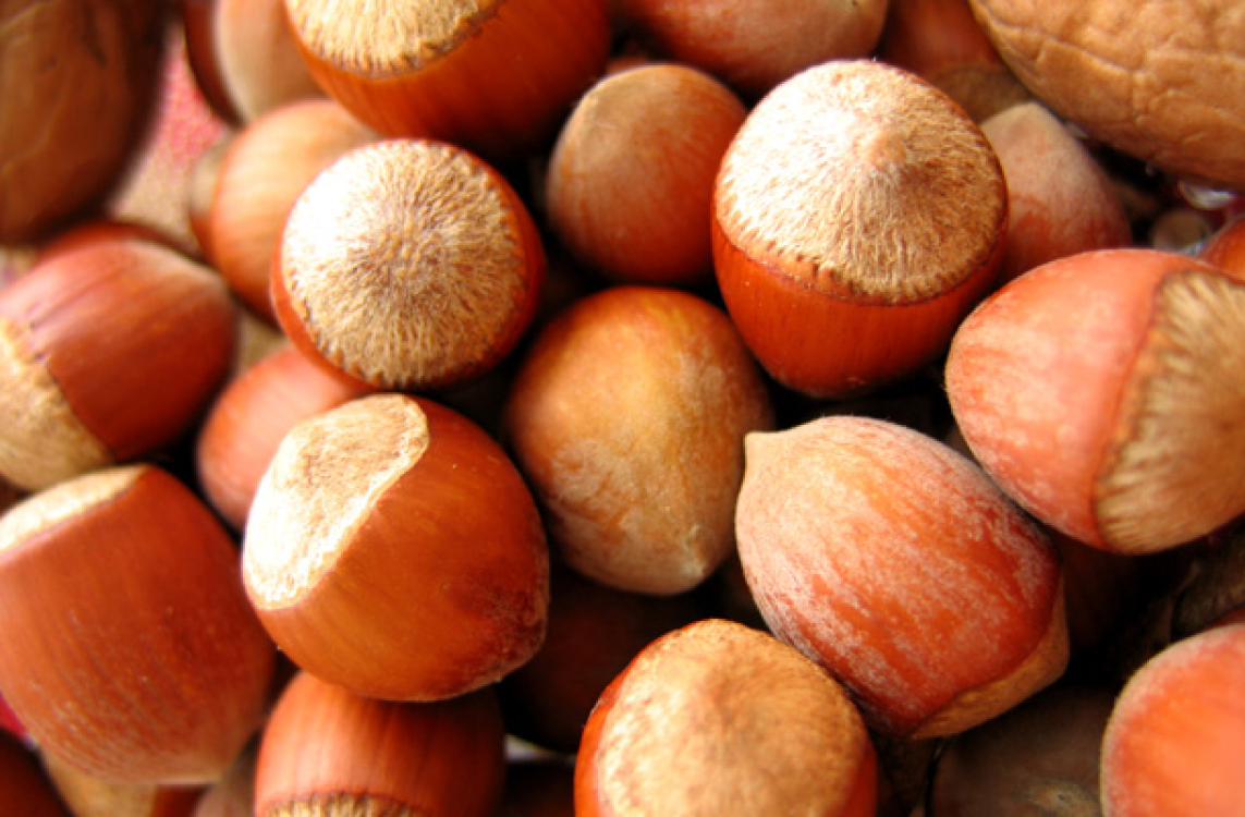 noisettes-gastronomie-corse