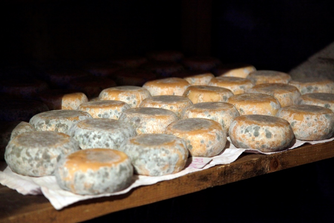 Route des sens authentiques Corse