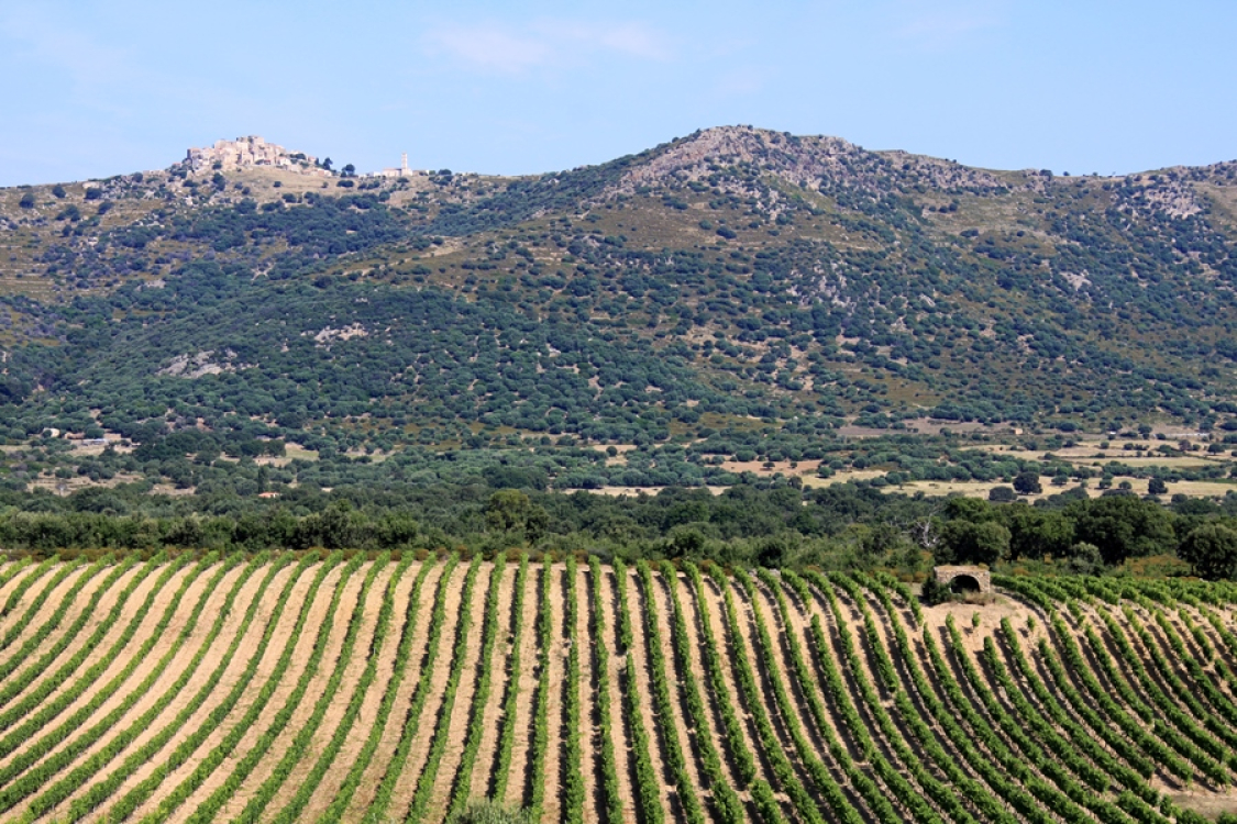 Route des sens authentiques Corse 