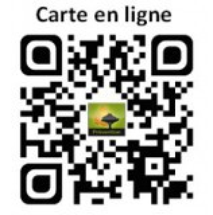 QR code incendie