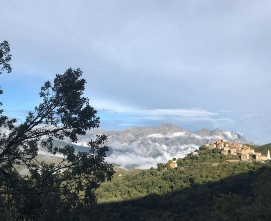 Tralonca