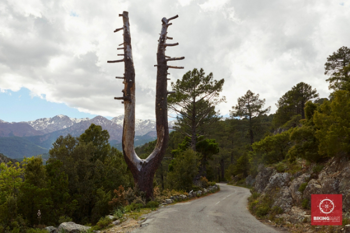 ©Magali Paulin-grimpette.cc / BikingMan Corsica 2019