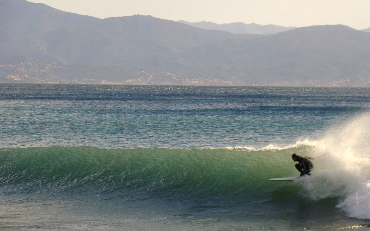 surf