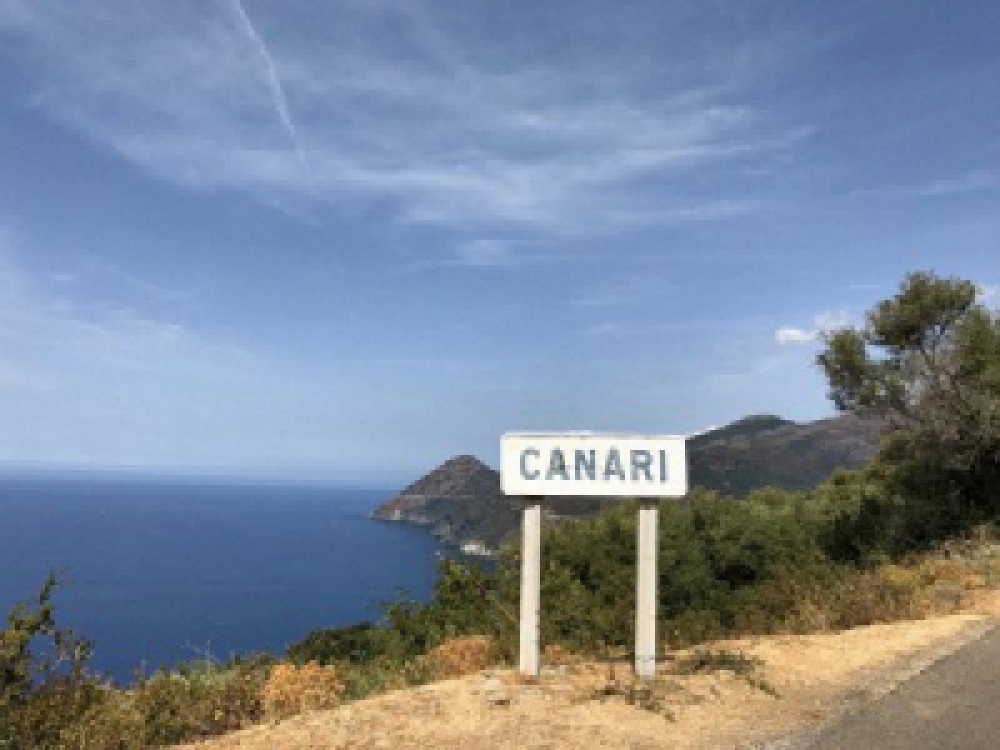 canari-panneau