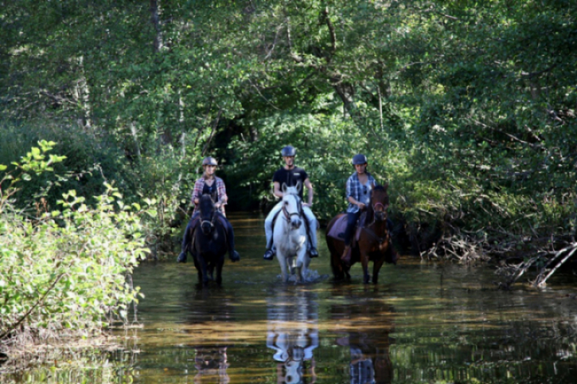 cheval-randonnee-riviere