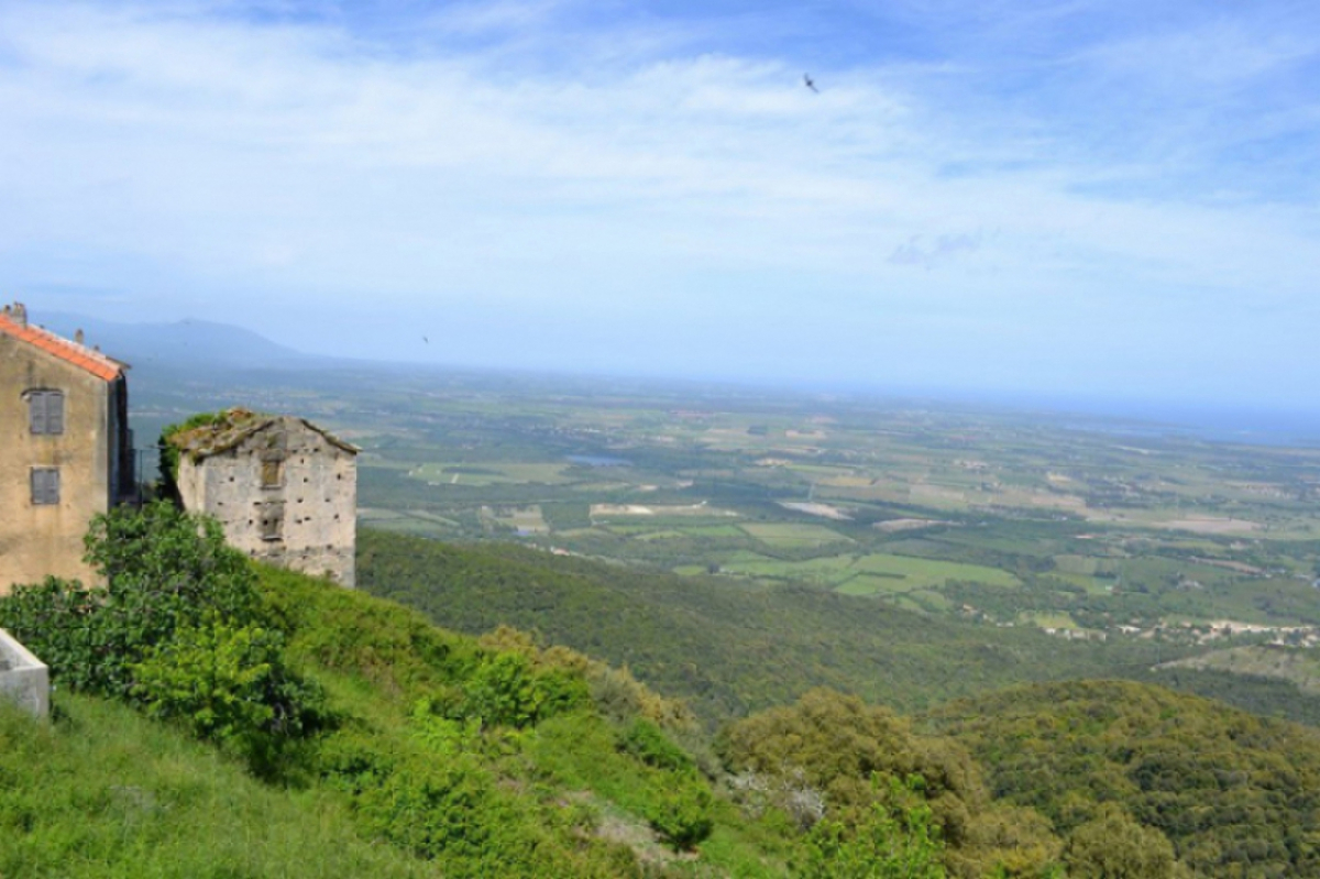 Vue sur la Plaine ©Corse Orientale