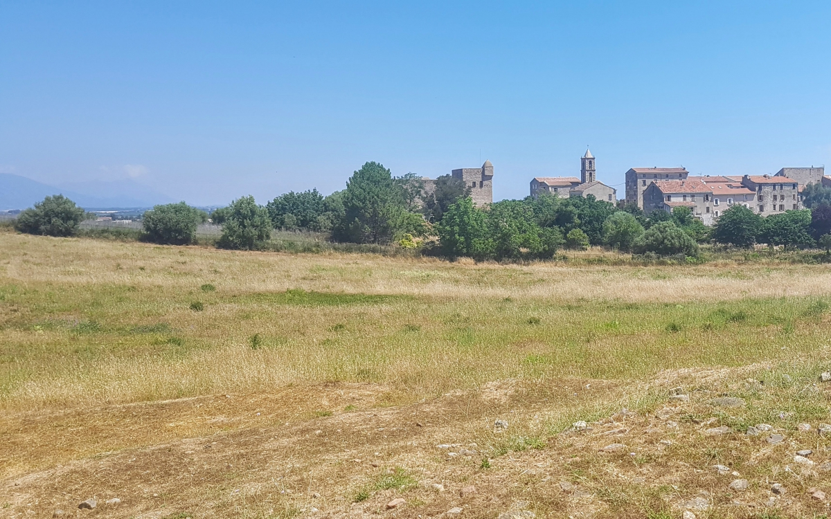 visite-musee-vue-aleria-site-antique-corse-orientale-tourisme