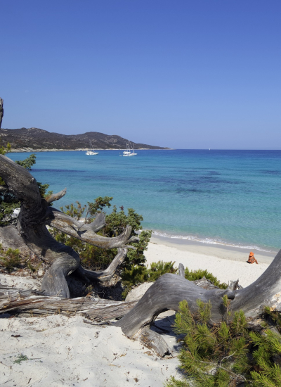 Découvrez la Corse au mois de février avec La Méridionale