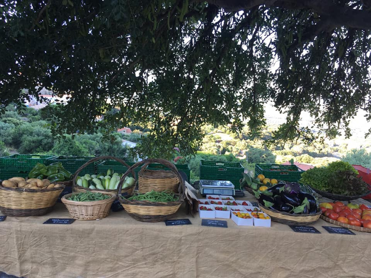 © marché de producteurs Lumio