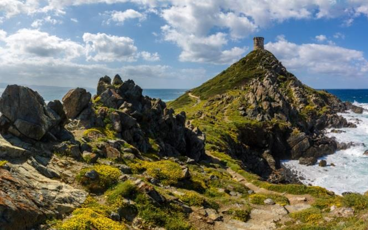 Les iles sanguinaires © Fotolia_thomathzac