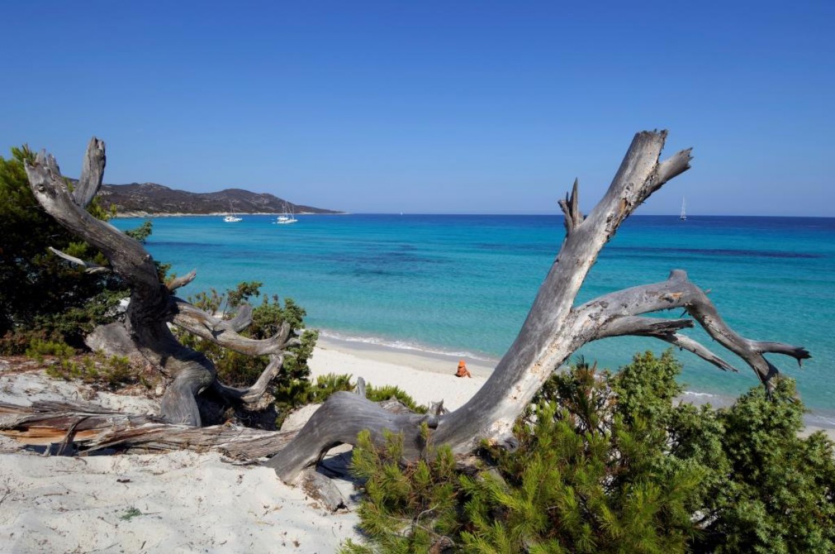 Frances Most Beautiful Beach Is In Corsica