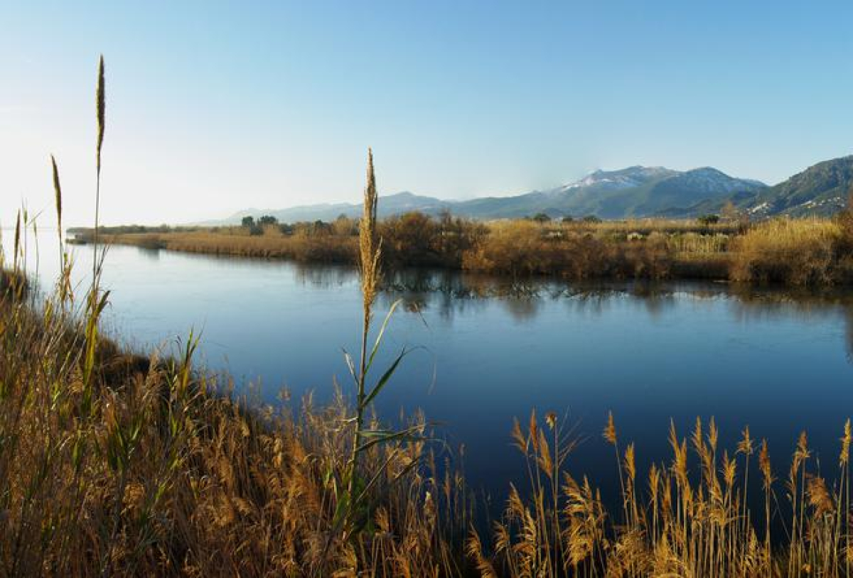 Réserve naturelle de l'étang de Biguglia © OT Bastia