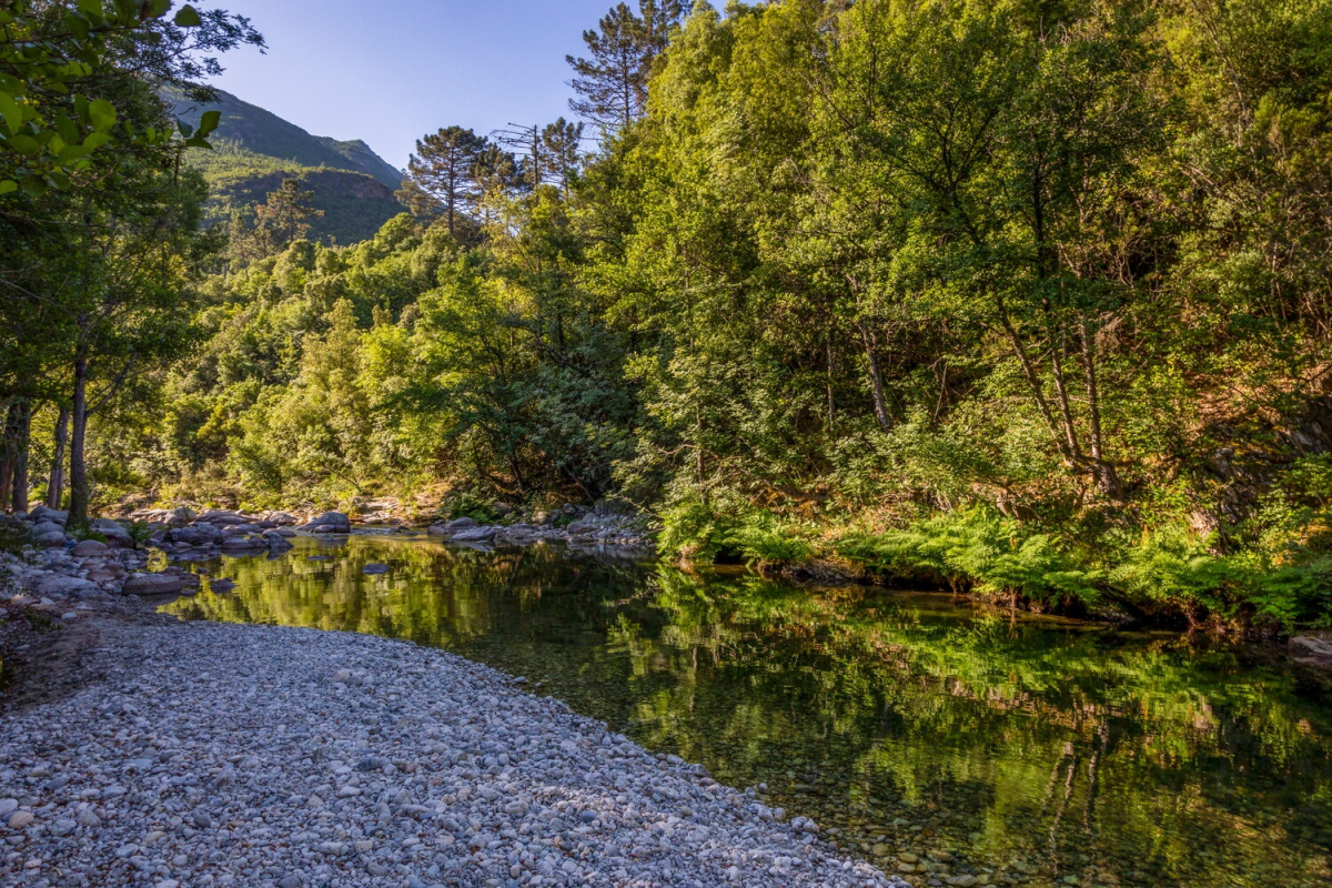 Rivière Restonica Corse © S. Alessandri ATC