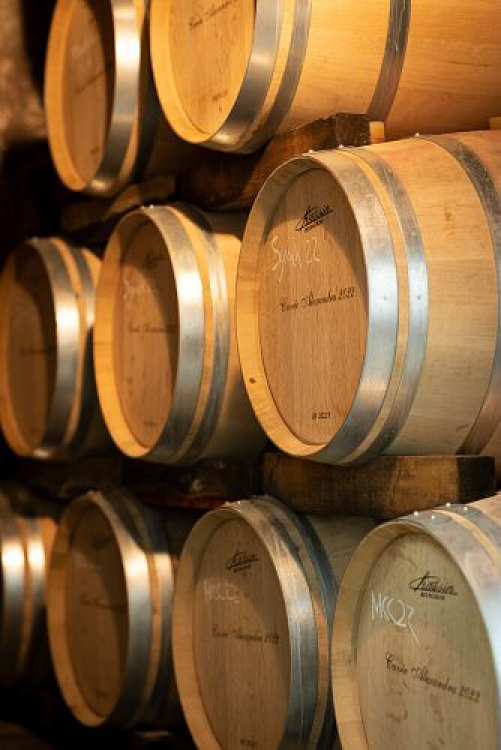 Domaine Tanella masterchef © Remy Cortin